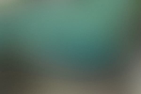 Picture of FOLKS  cover image